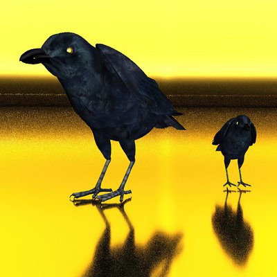 カラスのテクスチャ 作： Kurt Heppke