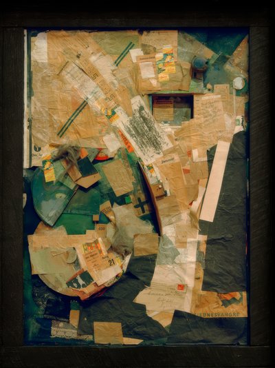 部屋の植物の写真- 2匹の小型犬の写真 作： Kurt Schwitters