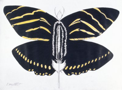 羽蝶, 2004 （紙に色鉛筆） 作： Kurtis L. Miller
