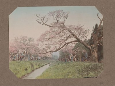 小金井、東京、日本の小川の両側に人と桜 作： Kusakabe Kimbei