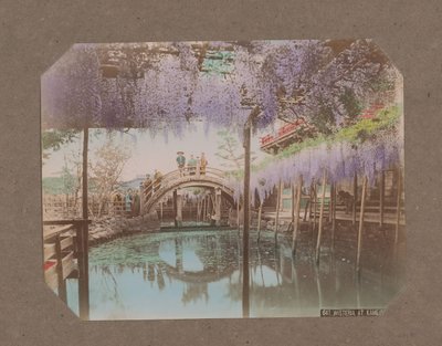 亀戸、東京、日本、前景に咲く藤と橋の上の人々 作： Kusakabe Kimbei
