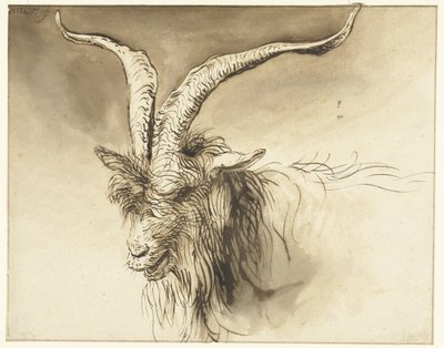 オランダ在来種ヤギの頭 作： Lambert Doomer
