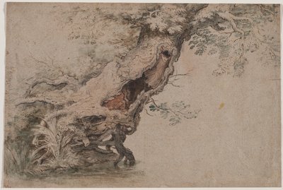 Roelant Saveryの後、中空の木 作： Lambert Doomer