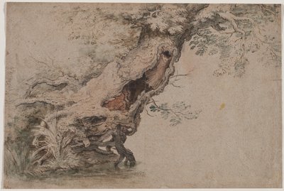 中空の木、Roelant Savery後、1670年後。 作： Lambert Doomer