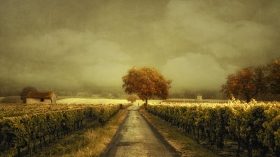 秋のブドウ畑通り 作： Lars van de Goor †