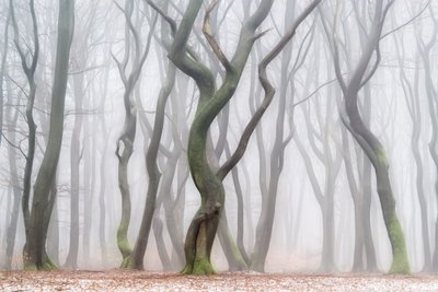  作： Lars van de Goor †