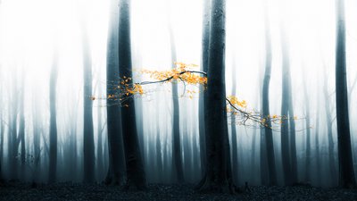  作： Lars van de Goor †