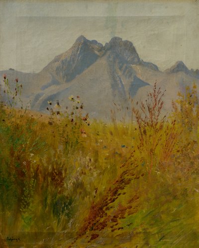LomnickýPeak 作： Laszlo Mednyanszky