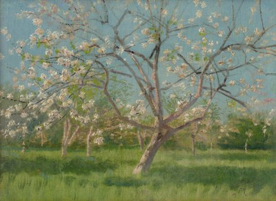 花の果樹園、1900-10 作： Laszlo Mednyanszky