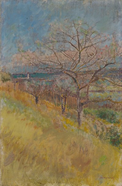 1890年から1900年に開花した木々のある谷 作： Laszlo Mednyanszky