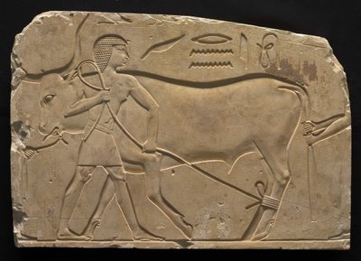 雄牛を縛る男性、紀元前667〜647年 作： Late Period Egyptian