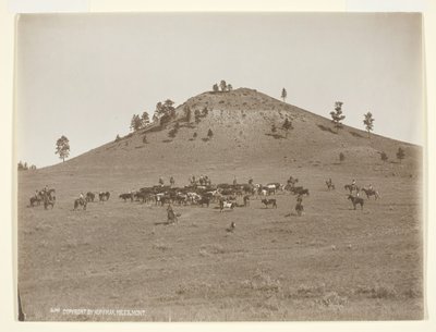 1900年頃、丘の上で小さな集団を作っていた。 作： Laton Alton Huffman