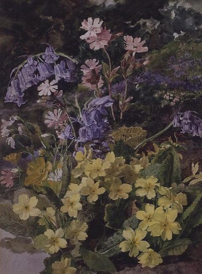 花の研究 作： Laura Darcy Strutt
