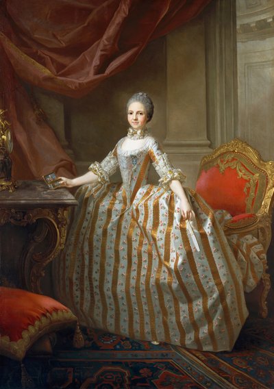 パルマ1751〜1819年のマリアルイーザ、後のスペイン女王、1765年。 作： Laurent Pecheux