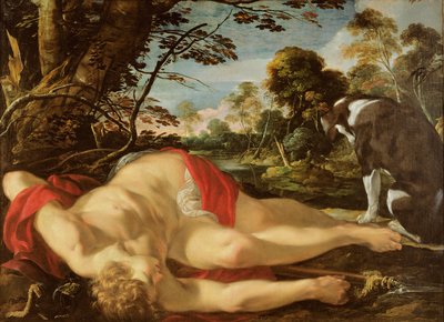 死んだアドニス、1624-28年頃 作： Laurent de la Hyre