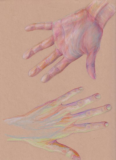 手 #2、2025（色鉛筆、トーン紙） 作： Laurie Michaels