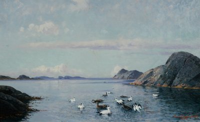 海鳥がいる南海岸 作： Lauritz Haaland