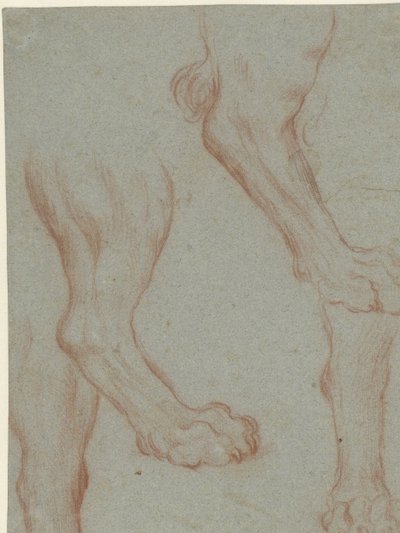2 つのライオンの足の学習シート 作： Leandro Bassano