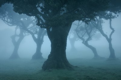  作： 