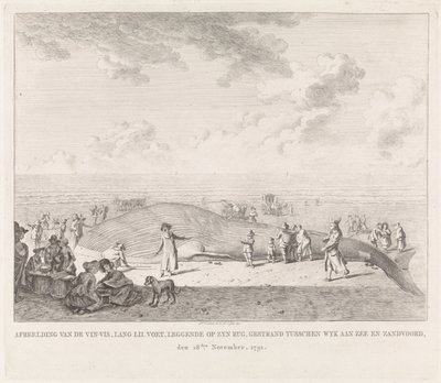 ザントフォールトのビーチに打ち上げられたナガスクジラ 1791 年 11 月 18 日、Wyk aan Zee と Zandvoord の間で座礁した Vin-Vis (...) の画像 (オブジェクトのタイトル) 作： Leendert Overbeek