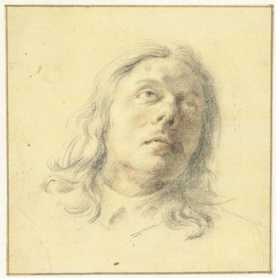 男の頭、見上げる 作： Leendert van der Cooghen
