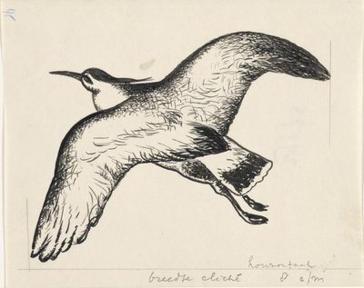 飛ぶ鳥 作： Leo Gestel