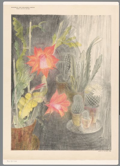サボテンと植物が咲く鉢 作： Leo Visser