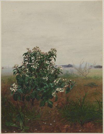  作： Léon Bonvin