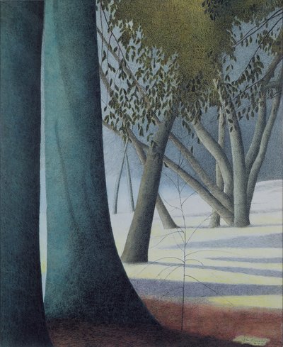 ブナの幹 作： Leon Spilliaert