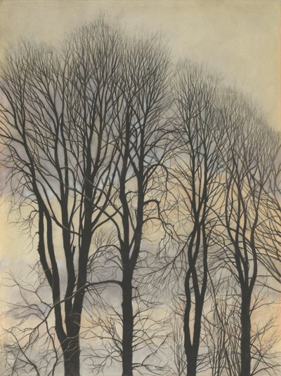 天空の木 作： Leon Spilliaert