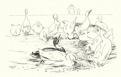 ダム、あなたのアヒルを死なせるもの（刻印 作： Leonard Leslie Brooke