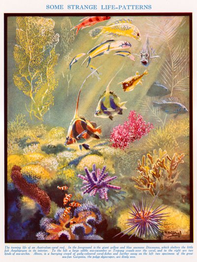  作： Leonard Robert Brightwell