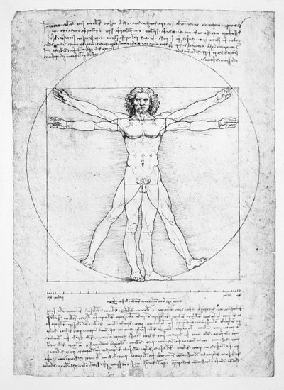 人物のプロポーション（ヴィトルヴィウス作）、1492年頃（ファクシミリ 作： Leonardo da (after) Vinci