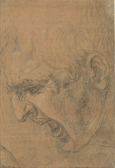 叫ぶ男の頭 作： Leonardo da (follower of) Vinci