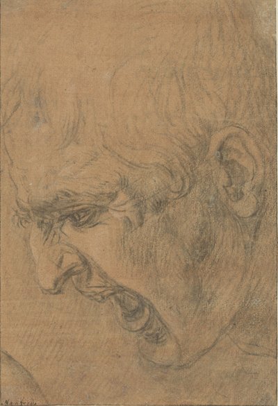 叫ぶ男の頭 作： Leonardo da Vinci (follower of)