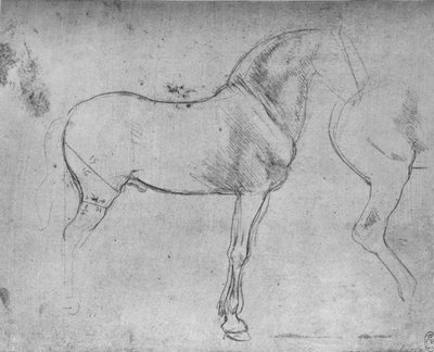 右側の横顔の馬とその後ろ四分の一、c1480 1945 作： Leonardo da Vinci