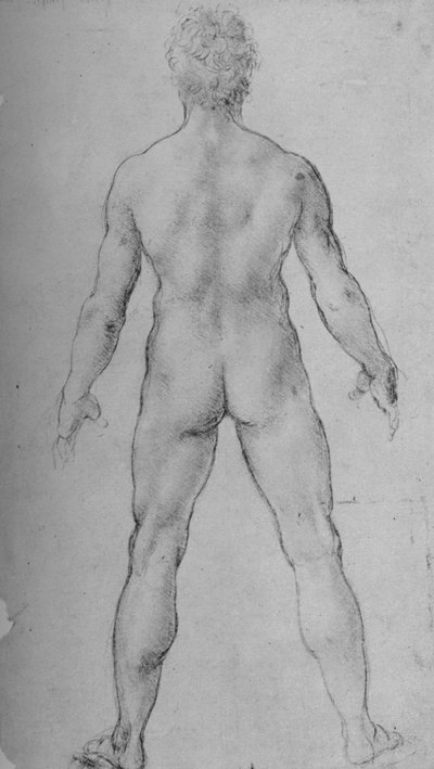 後ろから見たヌードマン、c1480 1945 作： Leonardo da Vinci