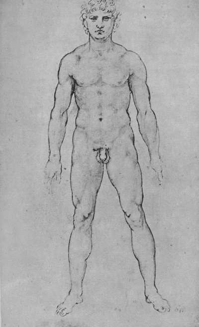 正面から見たヌードマン、c1480 1945 作： Leonardo da Vinci
