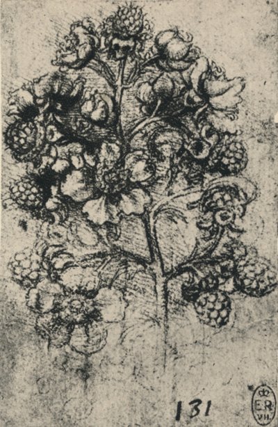 しぶきのスプレー、c1480 1945 作： Leonardo da Vinci