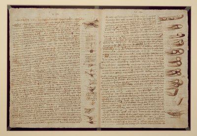 コーデックスレスターのページ、1508-12（リネン紙にセピアインク） 作： Leonardo da Vinci