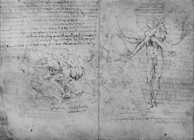 喜びと痛みと羨望の寓話、c1480 1945 作： Leonardo da Vinci