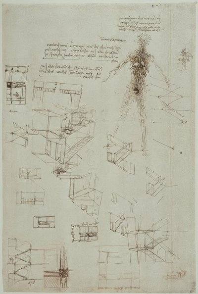アナトミエステン 作： Leonardo da Vinci