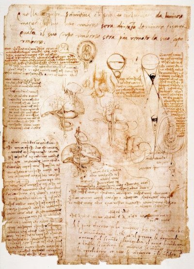 解剖学研究：腹部臓器... 作： Leonardo da Vinci