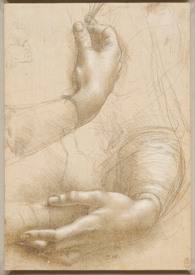 腕と女性の手c。 1480。 作： Leonardo da Vinci