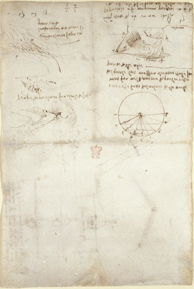 Arundel 263, f.126v 水に関する 3 つのメモとスケッチ。 鳥の飛行図、c.1500-5（紙にペンとインク） 作： Leonardo da Vinci