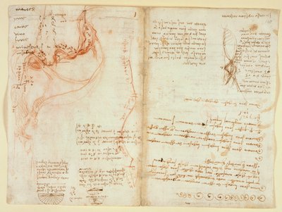 アランデル 263、f.148v 作： Leonardo da Vinci