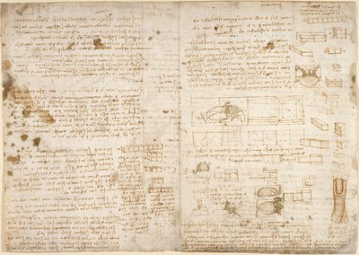Arundel 263, f.223 「Codex Arundel」のメモ、図表、スケッチ (紙にペンとインク) 作： Leonardo da Vinci