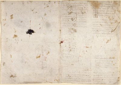 Arundel 263, f.225v, f.230 機械的な力と力、パーカッション、重力、運動、光学、天文学に関するドローイングと、さまざまな算術的および幾何学的な命題 (紙にペンとインク) 作： Leonardo da Vinci