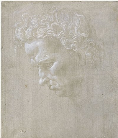  作： Leonardo da Vinci