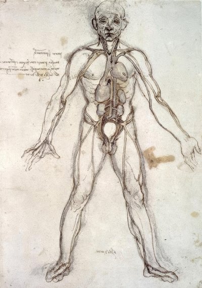 容器の木 作： Leonardo da Vinci